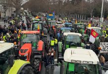 Galería de imágenes. Miles de agricultores y cientos de tractores llevan a Madrid sus protestas y reivindicaciones
