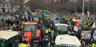 Galería de imágenes. Miles de agricultores y cientos de tractores llevan a Madrid sus protestas y reivindicaciones