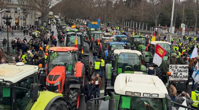 Galería de imágenes. Miles de agricultores y cientos de tractores llevan a Madrid sus protestas y reivindicaciones