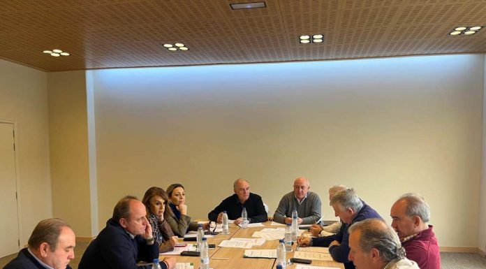 ASAJA Castilla-La Mancha prepara la denuncia ante la Fiscalía por daños del conejo de monte en el sector agrario Comite Ejecutivo de ASAJA Castilla-La Mancha