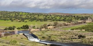 La Federación Nacional de Comunidades de Regantes pide al Gobierno invertir 100 millones anuales para el mantenimiento de presas presa