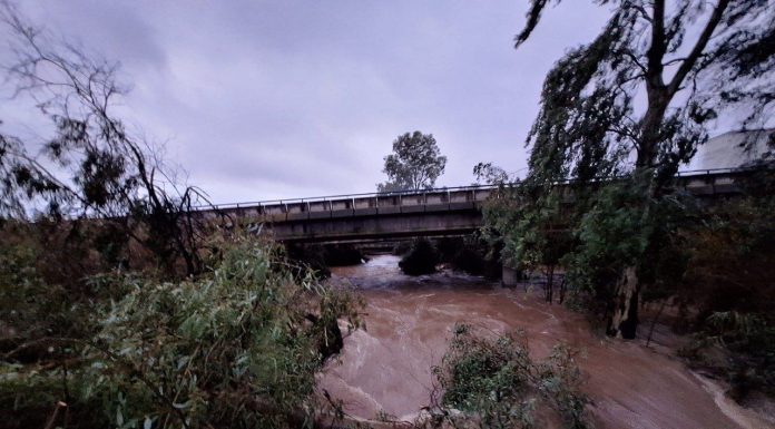 Espectaculares imágenes. Las borrascas llenan los embalses del Guadiana y anegan cultivos Guadiana