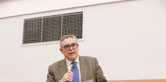 Lucas-Torres (PP): “Solo hay dos opciones: o quitan los conejos o indemnizan a los agricultores” Lucas-Torres