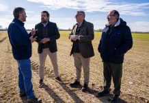 El PP de Castilla-La Mancha apoya la denuncia de ASAJA ante la plaga de conejos Paco Núñez