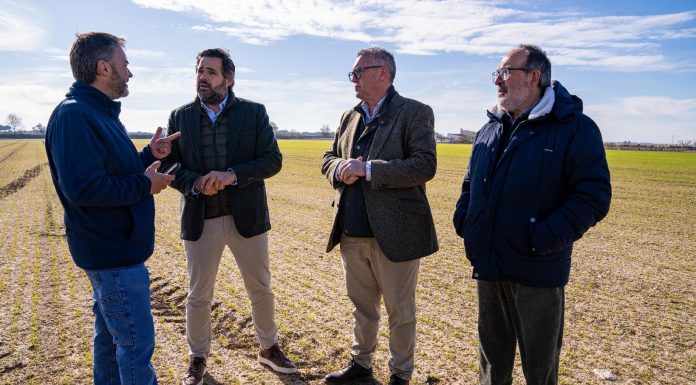 El PP de Castilla-La Mancha apoya la denuncia de ASAJA ante la plaga de conejos Paco Núñez
