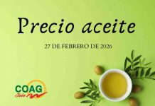 Precios medios en origen del aceite de oliva (27-febrero-2026) precio aceite de oliva