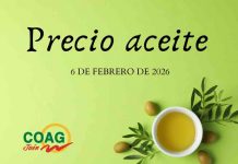 Precios medios en origen del aceite de oliva (6-febrero-2026) precio aceite de oliva
