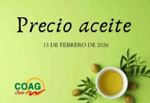 Precio medio en origen del aceite de oliva (13-febrero-2026) aceite de oliva