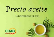 Precio medio en origen del aceite de oliva (20-febrero-2026) precio de aceite de oliva