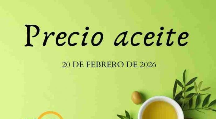 Precio medio en origen del aceite de oliva (20-febrero-2026) precio de aceite de oliva