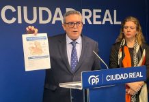 El PP de Castilla-La Mancha que exija a la Junta que asuma su responsabilidad ante la plaga de conejos y compense a los agricultores