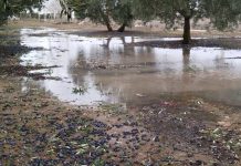 La borrasca Kristin deja daños en explotaciones agrarias y ganaderas de la provincia de Ciudad Real borrasca Ciudad Real