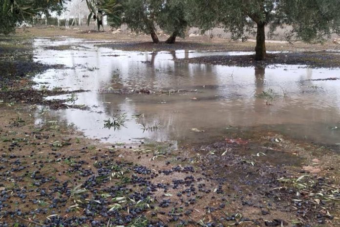 borrasca Ciudad Real borrasca Ciudad Real