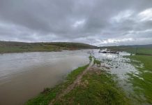 ASAJA Ciudad Real alerta de los graves daños que los temporales de lluvia y viento están causando en el campo lluvias