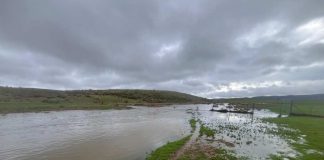 ASAJA Ciudad Real alerta de los graves daños que los temporales de lluvia y viento están causando en el campo lluvias