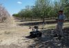 Investigadores usan láser y drones para mejorar la eficiencia del riego en cultivos leñosos como el almendro dron