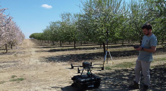 Investigadores usan láser y drones para mejorar la eficiencia del riego en cultivos leñosos como el almendro dron
