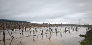 ASAJA denuncia la inexistencia en Castilla-La Mancha de fondos propios destinados a desastres naturales inundaciones