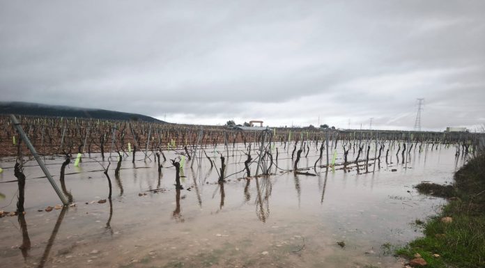 ASAJA denuncia la inexistencia en Castilla-La Mancha de fondos propios destinados a desastres naturales inundaciones