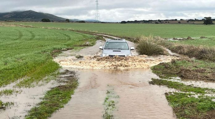 Exige para agricultores y ganaderos de Castilla-La Mancha las mismas ayudas por las borrascas que en otras regiones inundaciones Castilla-La Mancha