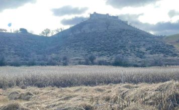 Agricultores de Guadalajara solicitan la quema de los rastrojos del maíz rastrojo