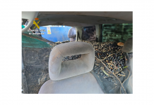 La Guardia Civil recupera aceitunas robadas en la provincia de Ciudad Real