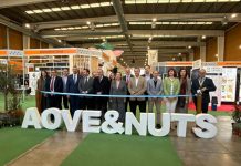 Talavera de la Reina se convierte en la capital del aceite y los frutos secos AOVE NUTS