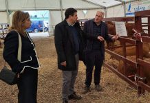 El presidente de la Diputación de Ciudad Real muestra su compromiso con el sector ganadero en la Feria «La Cuerda» Feria "La Cuerda"