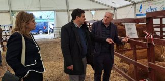El presidente de la Diputación de Ciudad Real muestra su compromiso con el sector ganadero en la Feria «La Cuerda» Feria "La Cuerda"