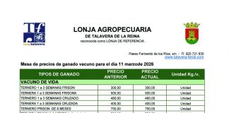 Lonja Agropecuria de Talavera de la Reina. Vacuno. 11-marzo-2026