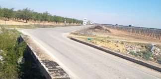 El Ayuntamiento de Tomelloso arreglará un puente de un camino de gran tránsito agrario