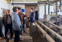 VOX sitúa la defensa del queso manchego como prioridad estratégica para Castilla-La Mancha