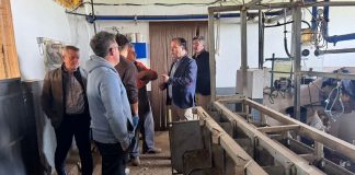 VOX sitúa la defensa del queso manchego como prioridad estratégica para Castilla-La Mancha