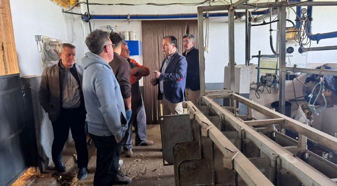 VOX sitúa la defensa del queso manchego como prioridad estratégica para Castilla-La Mancha