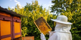 Las consecuencias del conflicto de Oriente Medio golpean a la apicultura de trashumancia