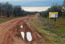 Una organización agraria emprenderá acciones judiciales ante los daños y accidentes por el mal estado de los caminos municipales