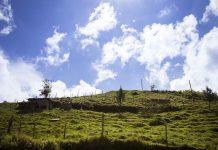 Unión de Uniones reclama al Parlamento Europea que la PAC compense los costes de las exigencias ambientales al sector agrario campo