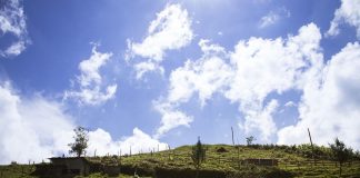 Unión de Uniones reclama al Parlamento Europea que la PAC compense los costes de las exigencias ambientales al sector agrario campo