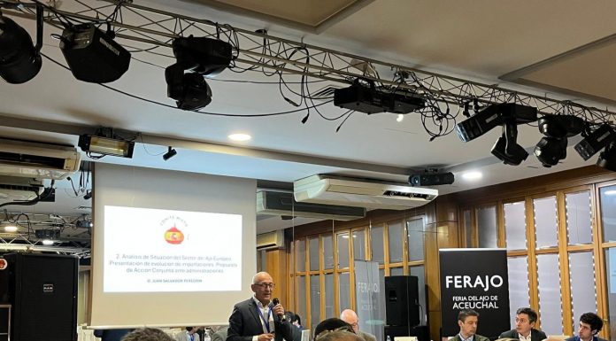 El sector europeo del ajo reclama medidas urgentes ante el aumento de costes y el fuerte crecimiento de las importaciones grupo contacto ajo