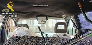 Tres detenidos por el robo de aceitunas en un pueblo de Toledo robo de aceitunas