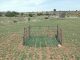 Agricultores de pueblos de Guadalajara lamentan los daños de ciervos y gamos a sus cultivos daños cultivos fauna mayor