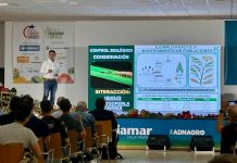 Koppert presenta en Expo Levante nuevas estrategias para el control biológico eficaz de Thrips parvispinus