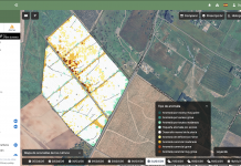 Un proyecto europeo revoluciona la monitorización del cereal monitorización del cereal