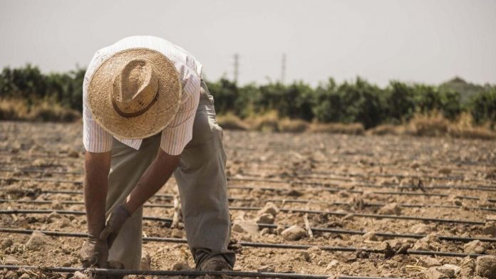 agricultor agricultor