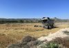 Castilla-La Mancha habilitará una ayuda para los arroceros de Hellín arroz