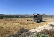 Castilla-La Mancha habilitará una ayuda para los arroceros de Hellín arroz