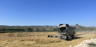 Castilla-La Mancha habilitará una ayuda para los arroceros de Hellín arroz