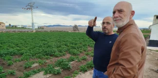 Denuncia precios “ruinosos” en origen y “márgenes abusivos” en las hortalizas valencianas