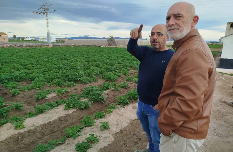 Denuncia precios “ruinosos” en origen y “márgenes abusivos” en las hortalizas valencianas