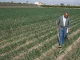 Miles de agricultores se quedarán fuera de las ayudas a fertilizantes por las trabas burocráticas del Ministerio de Agricultura ayudas fertilizantes